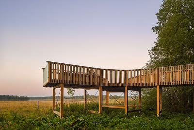 Boardwalk trail through reeds at Lammassaari nature area